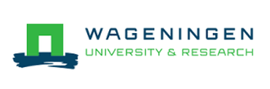 جامعة فاغينينغين