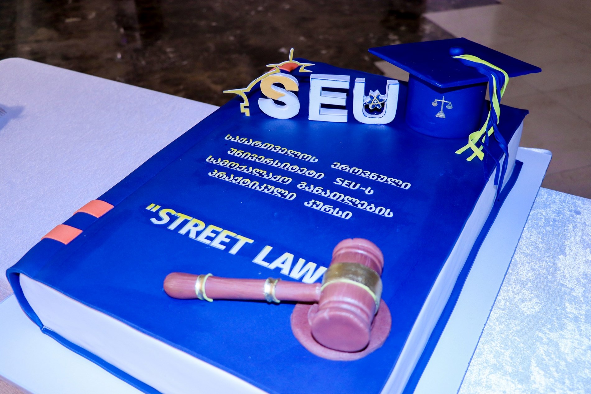 الجامعة الوطنية الجورجية - تبليسي - جورجيا