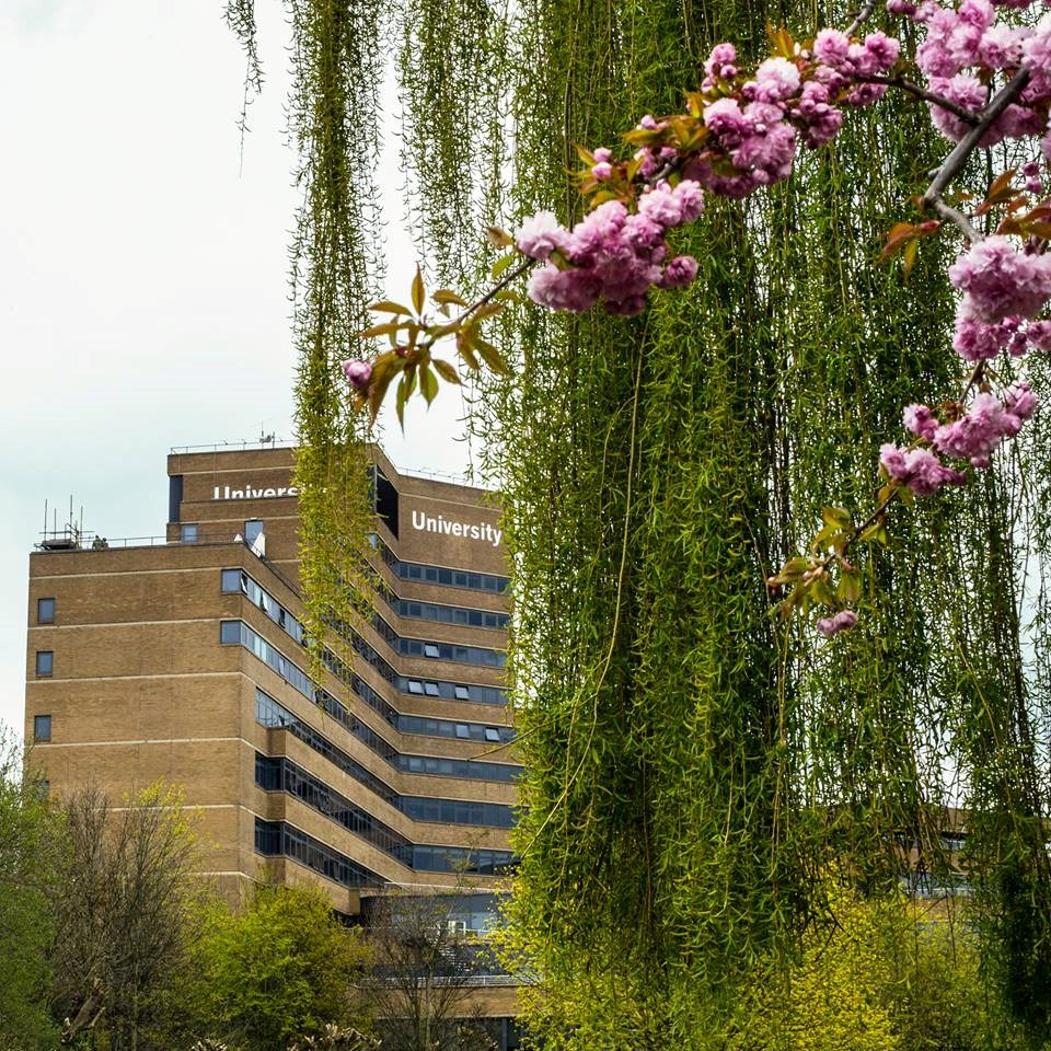 University Of Huddersfield