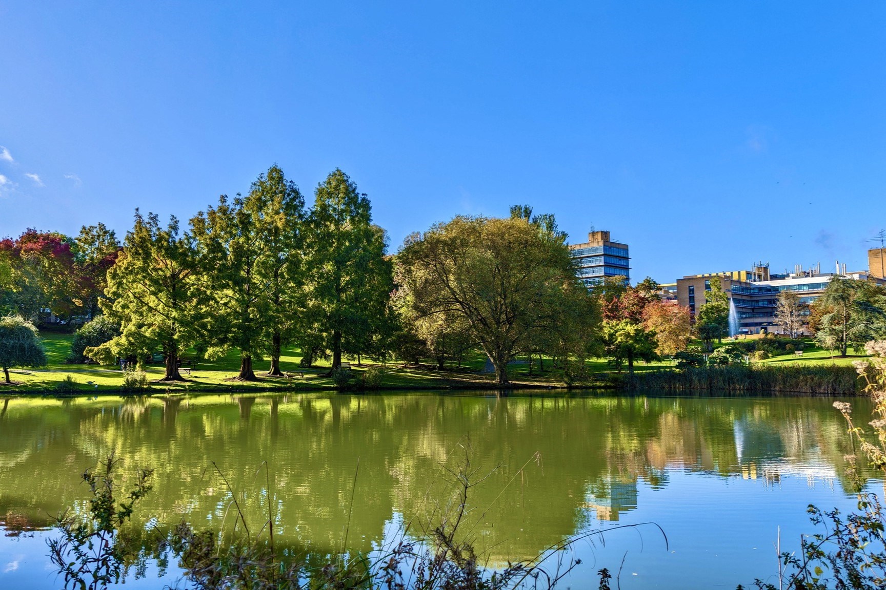 University of Surrey