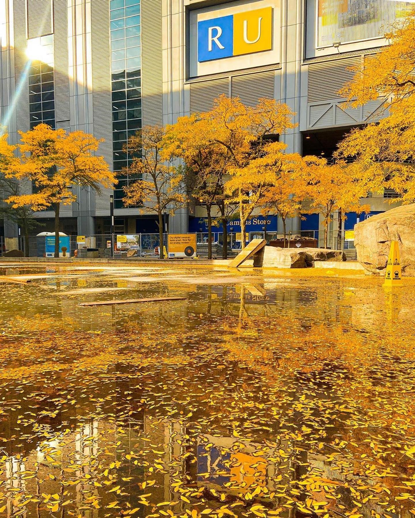 Toronto Metropolitan University