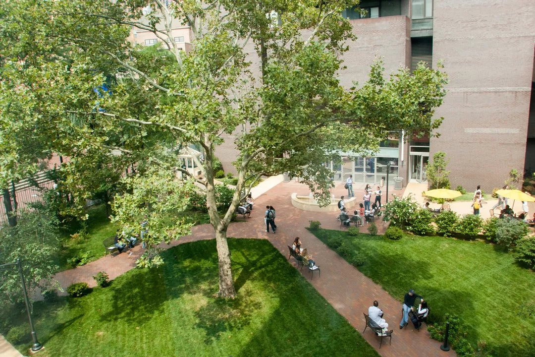 Long Island University (Brooklyn & Post)