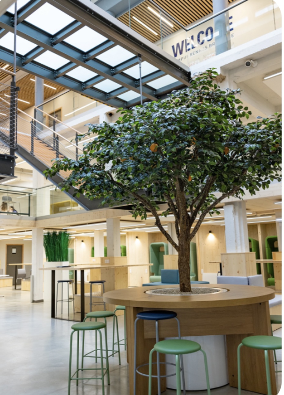 INSEEC Business School