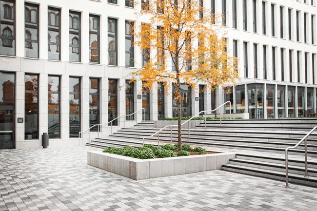 Fresenius University of Applied Sciences