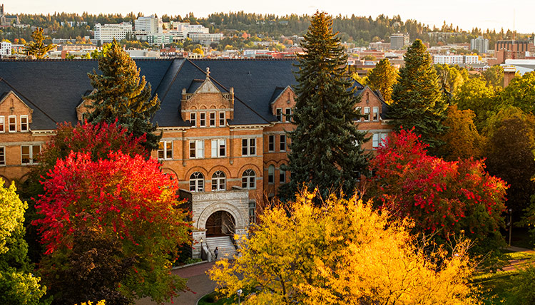 جامعة غونزاغا